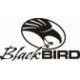 BlackBird 