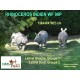 NATUR'FOAM RHINOCEROS INDIEN
