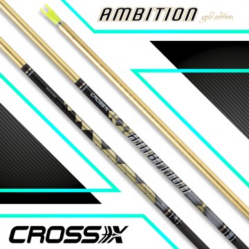 CROSS-X TUBE AMBITION GOLD EDITION