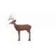 DELTA MCKENZIE BACKYARD SERIES 50455 CHALLENGER BUCK