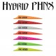 ARIZONA PLUMES HYBRID PHNX