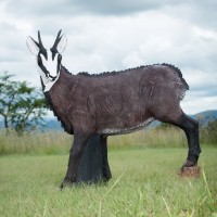 WILDCRETE 3D TARGETS CHAMOIS FEMELLE