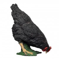 BEIER TARGETS POULE QUI PICORE