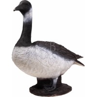 BOOSTER CIBLE 3D OIE