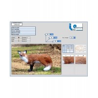 ITALESPANSO CIBLE 3D RENARD