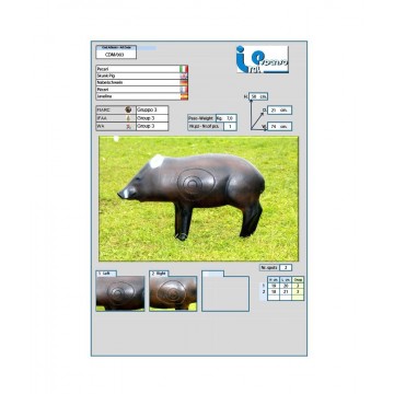 ITALESPANSO CIBLE 3D PECARI