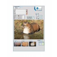 ITALESPANSO CIBLE 3D LOUTRE