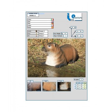 ITALESPANSO CIBLE 3D LOUTRE