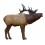 RINEHART CIBLE 3D SIGNATURE ELK 1/3 SCALE