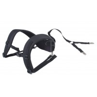 AURORA SYSTEME DE TRANSPORT DORSALE