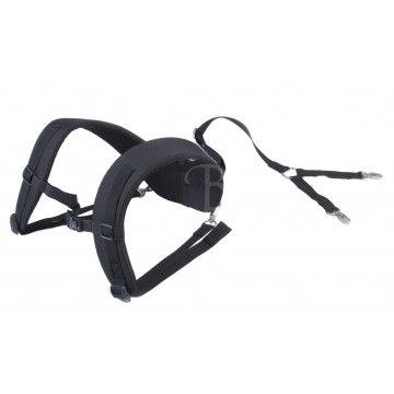 AURORA SYSTEME DE TRANSPORT DORSALE