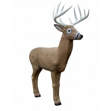 RINEHART CIBLE 3D MIDWEST BUCK