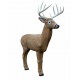 RINEHART CIBLE 3D MIDWEST BUCK
