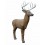 RINEHART CIBLE 3D MIDWEST BUCK