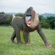 WILDCRETE 3D TARGETS MANDRILL