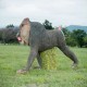 WILDCRETE 3D TARGETS MANDRILL