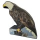 BOOSTER CIBLE 2D AIGLE