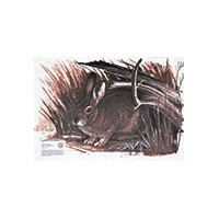 MAPLE LEAF BLASON RABBIT G4