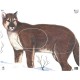 MAPLE LEAF BLASON COUGAR NFAA G2