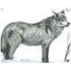 MAPLE LEAF BLASON WOLF NFAA G2