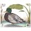 MAPLE LEAF BLASON DUCK NFAA G4