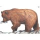 MAPLE LEAF BLASON GRIZZLY NFAA G1