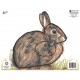 MAPLE LEAF BLASON RABBIT NFAA G4