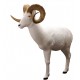 Rinehart cible 3D DAHL STANDING SHEEP