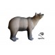 SRT OURS BRUN MARSICANO
